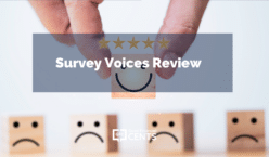 Survey Voices Review