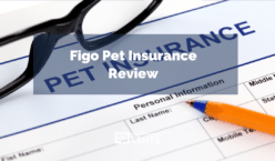 Figo Pet Insurance Review