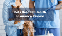 Pets Best Pet Health Insurance Review