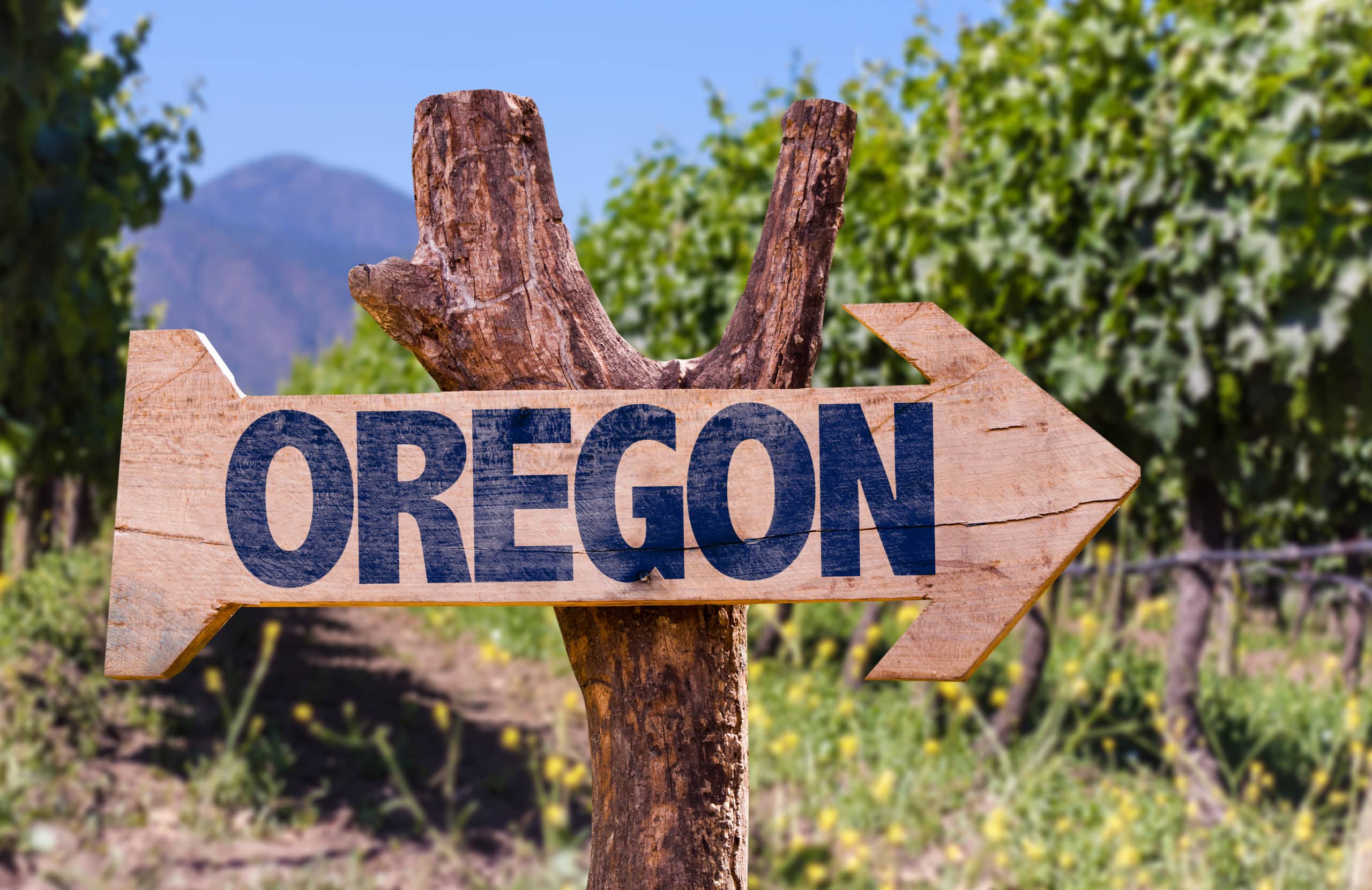 wooden sign on a stick with an arrow and the word oregon written on it