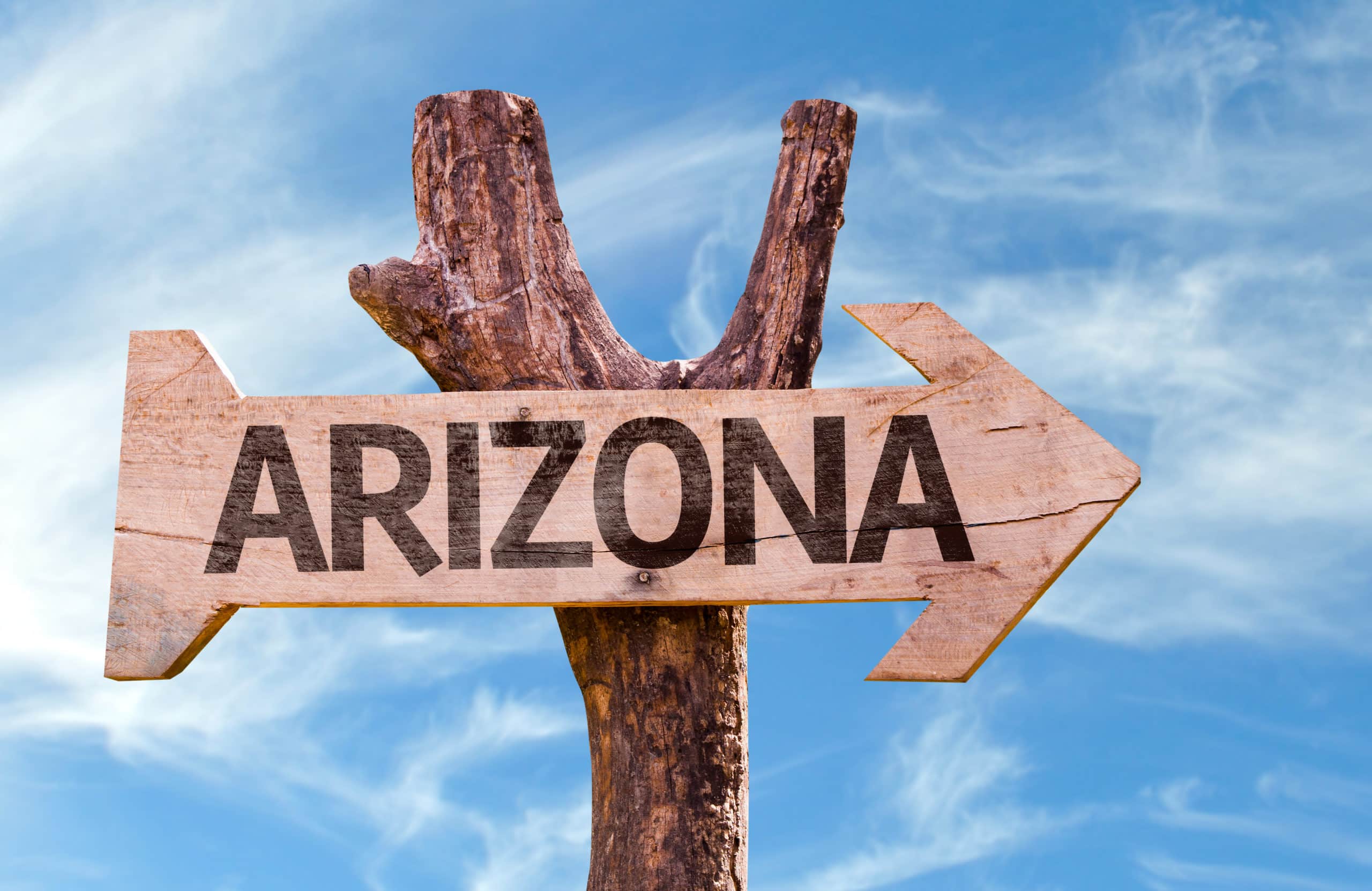 wooden stick post with a wooden arrow sign with arizona written on it pointing to the right